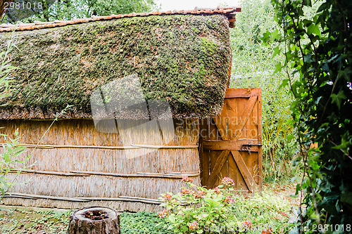 Image of Marsh Plants Huts 