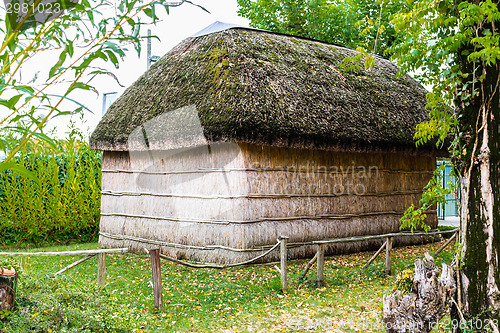 Image of Marsh Plants Huts 