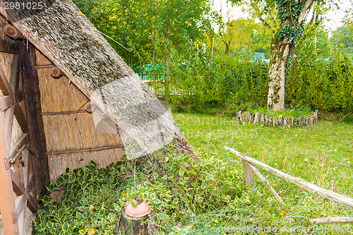 Image of Marsh Plants Huts 