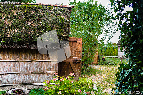 Image of Marsh Plants Huts 