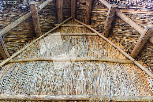 Image of Marsh Plants Huts 