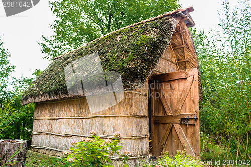 Image of Marsh Plants Huts 