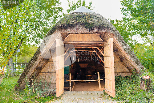 Image of Marsh Plants Huts 