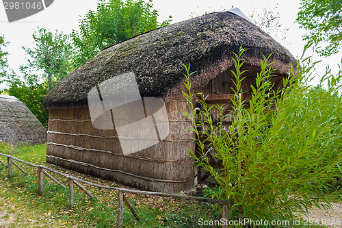 Image of Marsh Plants Huts 