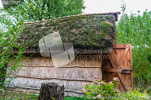 Image of Marsh Plants Huts 