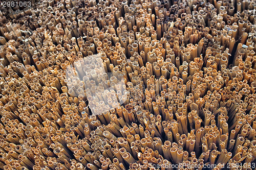 Image of Marsh Plants Huts 