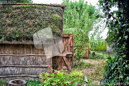 Image of Marsh Plants Huts 