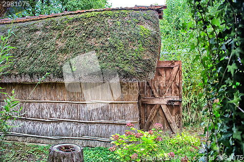 Image of Marsh Plants Huts 