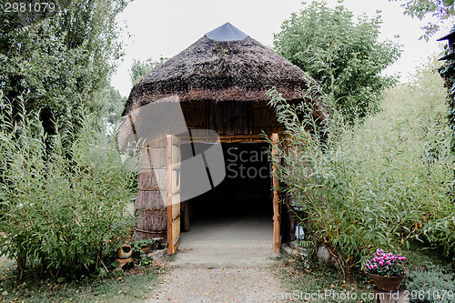 Image of Marsh Plants Huts 