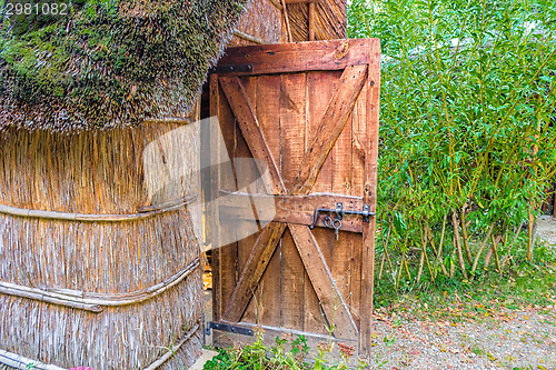 Image of Marsh Plants Huts 