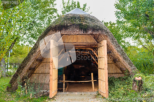 Image of Marsh Plants Huts 