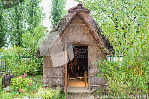 Image of Marsh Plants Huts 