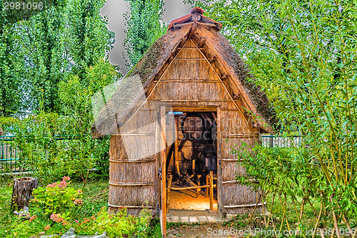 Image of Marsh Plants Huts 