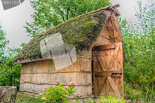 Image of Marsh Plants Huts 