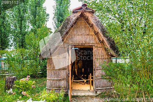 Image of Marsh Plants Huts 