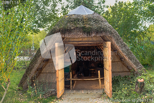 Image of Marsh Plants Huts 