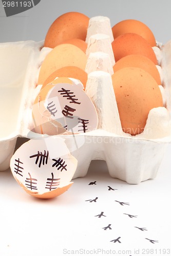 Image of empty egg shells 