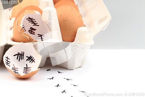 Image of empty egg shells 
