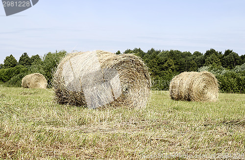 Image of Hay rolls 