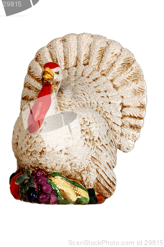 Image of turkey on an angle