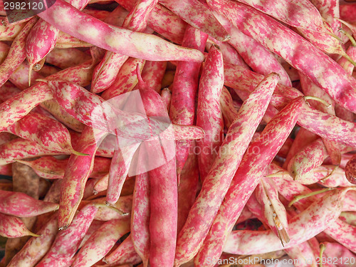 Image of Cranberry beans