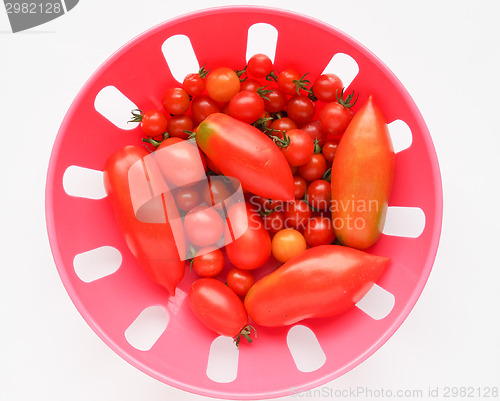 Image of Tomato vegetable
