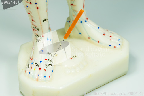 Image of acupuncture demonstration on feet model 