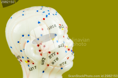 Image of acupuncture model 