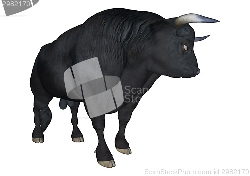 Image of Black Bull