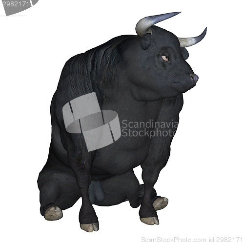 Image of Black Bull