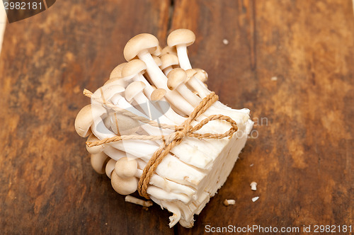 Image of fresh wild mushrooms