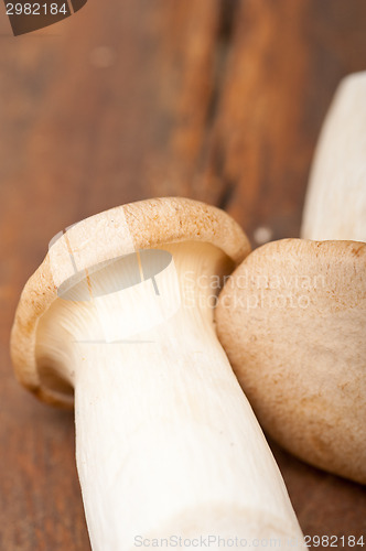 Image of fresh wild mushrooms