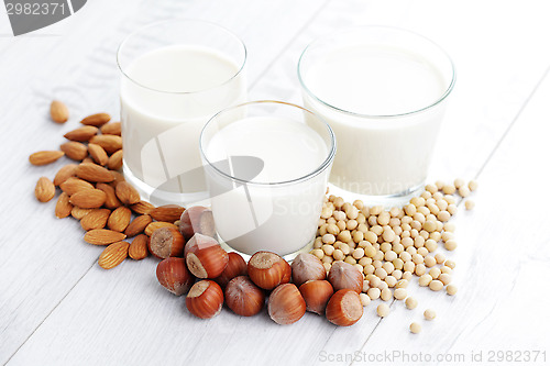 Image of different vegan milk