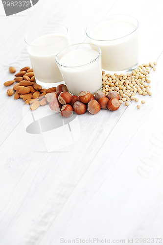 Image of different vegan milk