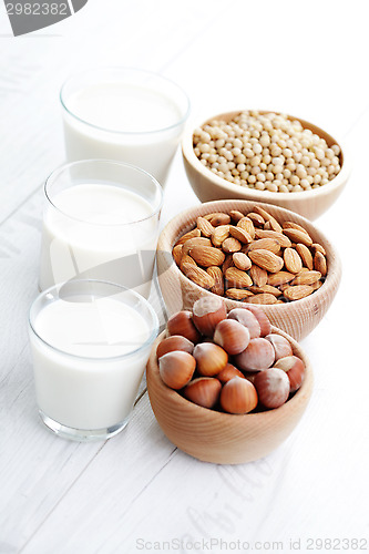 Image of different vegan milk