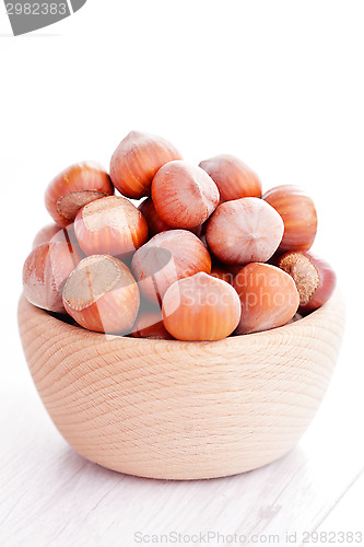 Image of hazelnuts