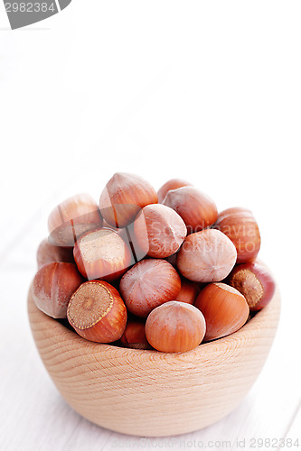 Image of hazelnuts