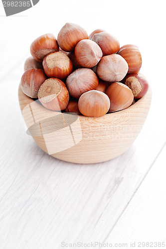 Image of hazelnuts