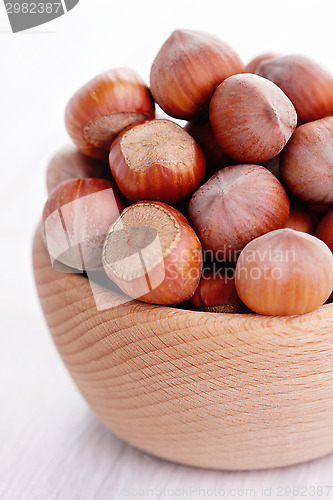 Image of hazelnuts