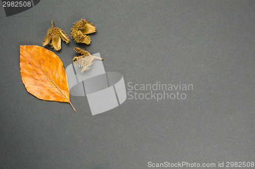Image of Fall decoration leaf and cones