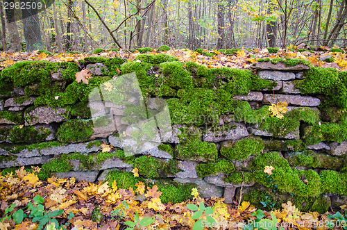 Image of Mossy stonewall detail