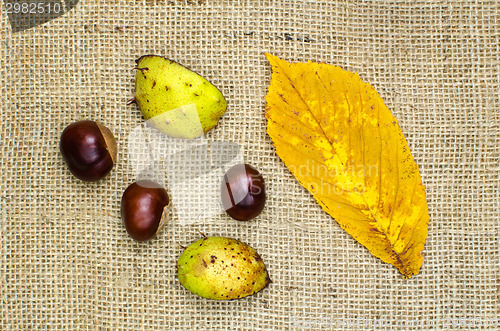 Image of Sweet chestnuts still life