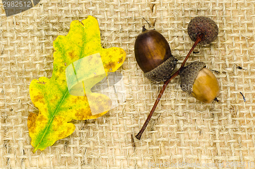 Image of Natural autumn objects at burlap