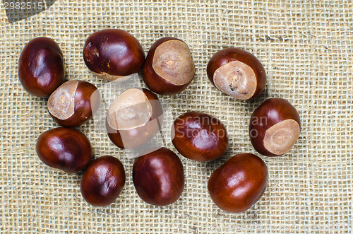 Image of Sweet chestnuts collection