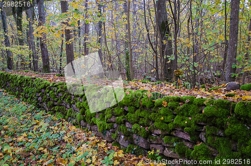 Image of Old mossy stonewall