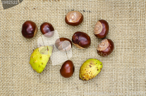 Image of Group of sweet chestnuts