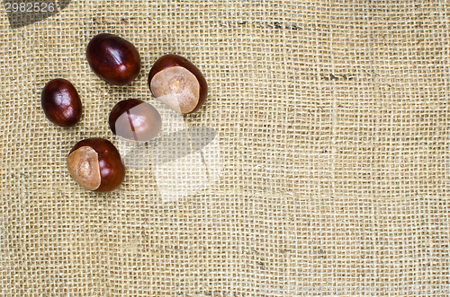 Image of Sweet chestnuts at burlap surface