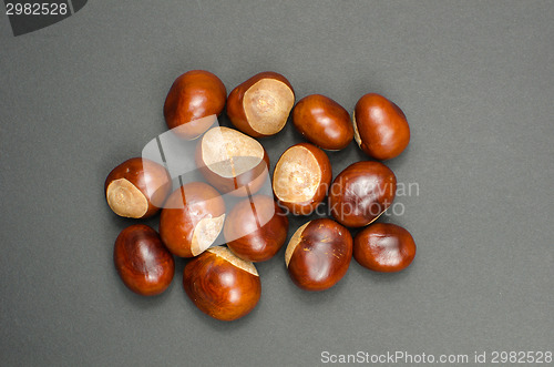Image of Bunch of sweet chestnuts
