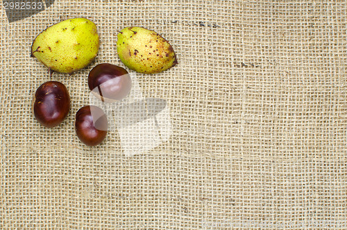 Image of Sweet chestnuts decor