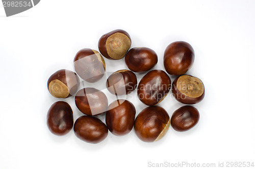 Image of Sweet chestnuts collection on white